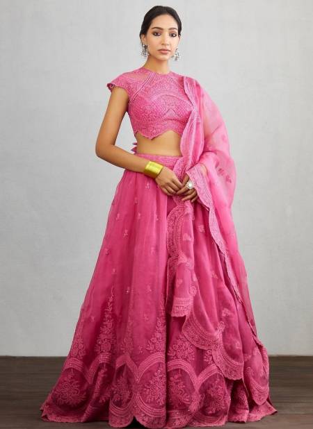 Pink Colour Torani 1001 Party Wear Heavy Designer Fancy Latest Lehenga Collection 1002